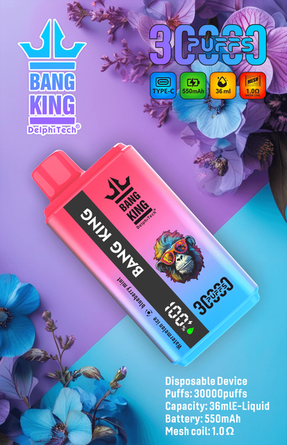 Bang King 30K Vape Dual Flavor 30000 Puffs Vape Smart Screen デュアルフレーバー使い捨て電子タバコ（最大30,000回吸引）スマートディスプレイ搭載
